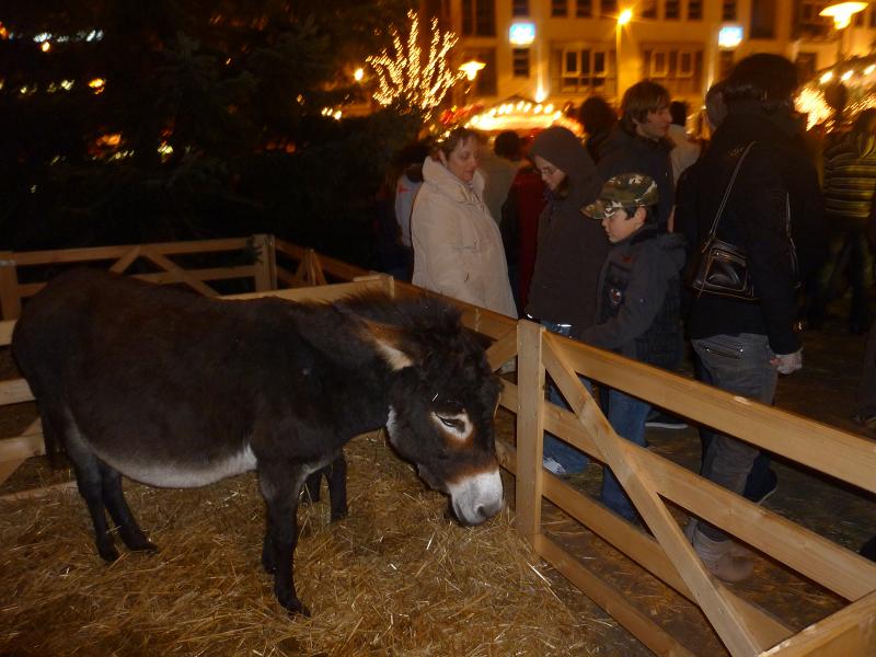 Laupheimer-Weihnachtsmarkt2