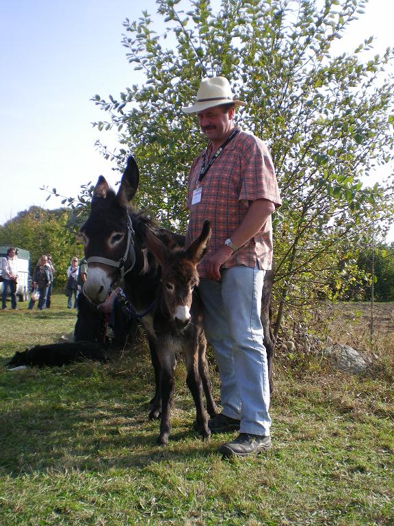 Bild Züchter